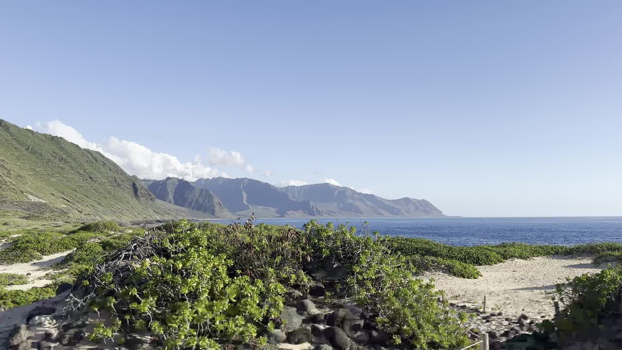 夏威夷瓦胡岛雄伟的山脉和郁郁葱葱的海岸景观的壮丽景色。场景的特点是充满活力的绿色植物，岩石地形，和广阔的太平洋视频素材