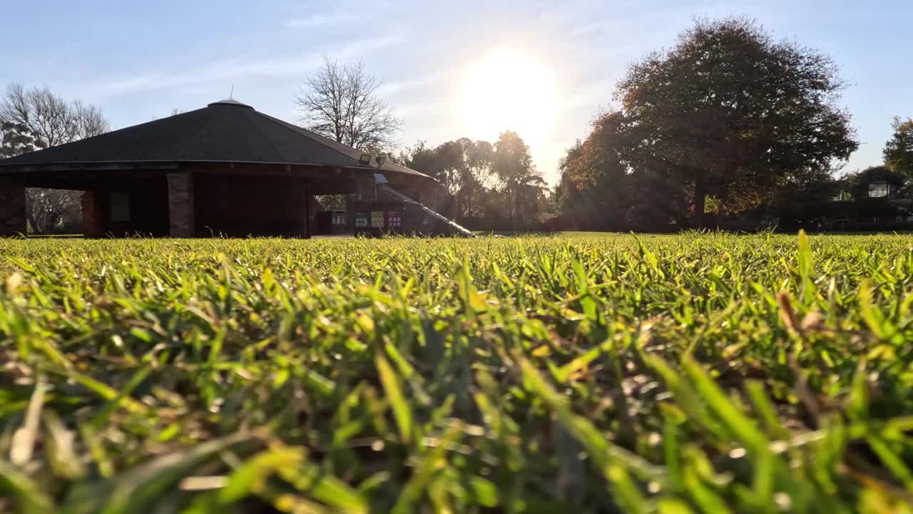 墨尔本动物园草地上的日出视频素材