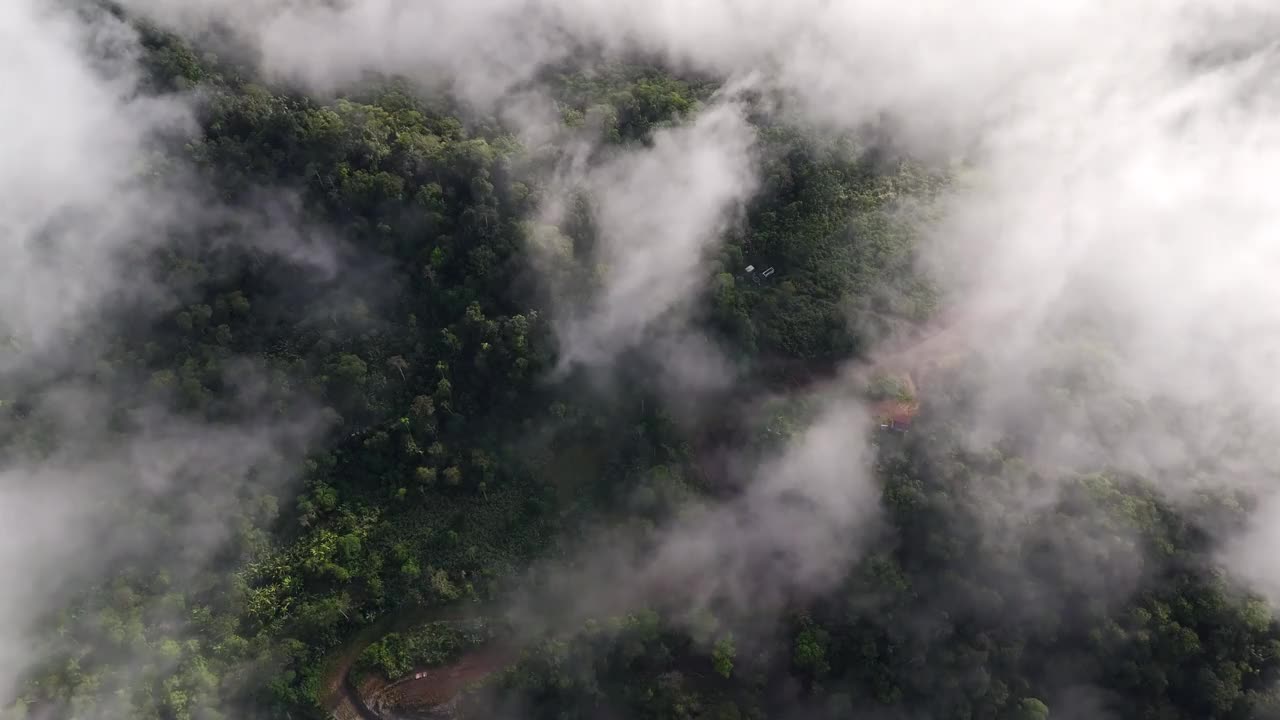 美丽的云彩笼罩在厄瓜多尔的雨林，鸟瞰图视频素材