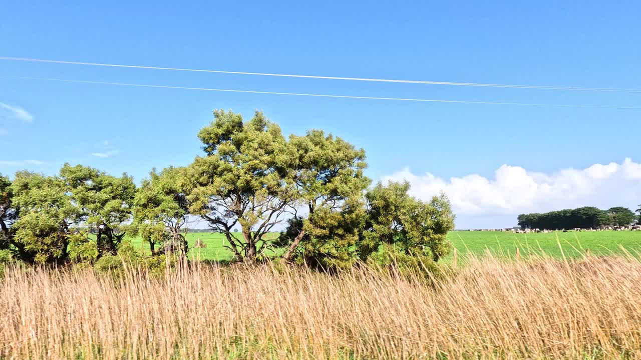 沿着大洋路的风景驾驶视频素材