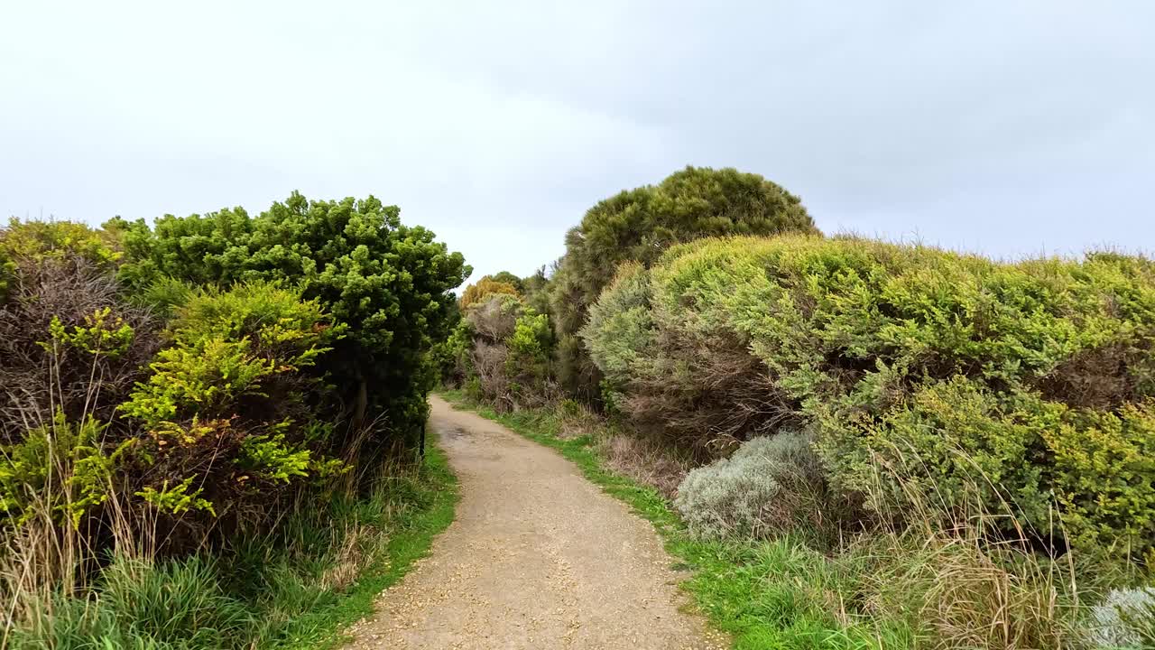 大洋路上的风景小径视频素材