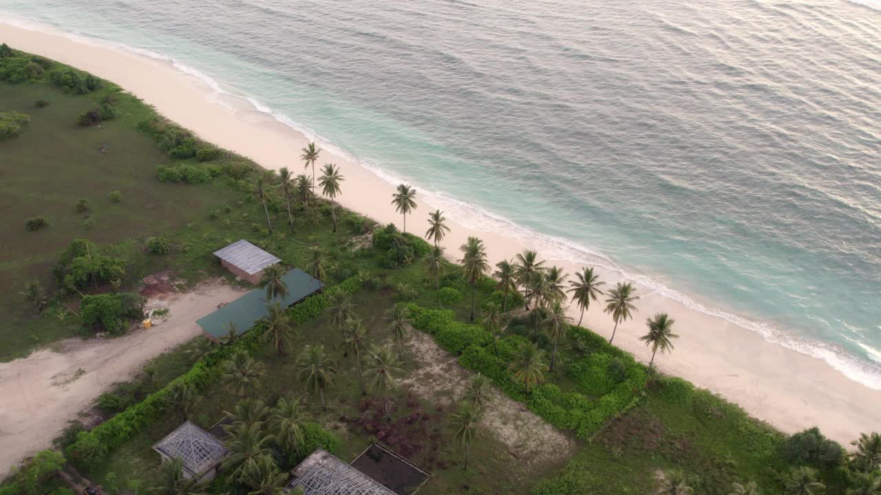 鸟瞰热带海滩，棕榈树和海浪，印度尼西亚。视频素材