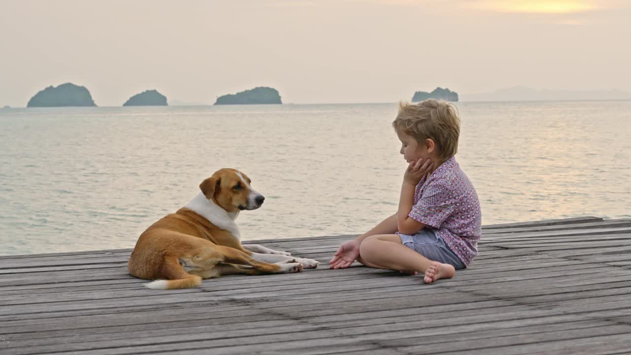 一个男孩和流浪狗在海边的木制码头上的宁静景象视频素材