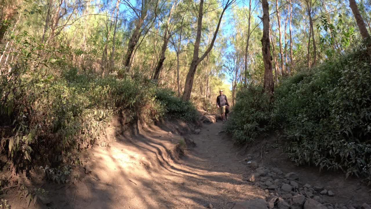 就像永恒的朝圣者一样，徒步旅行者沿着山路下山视频素材