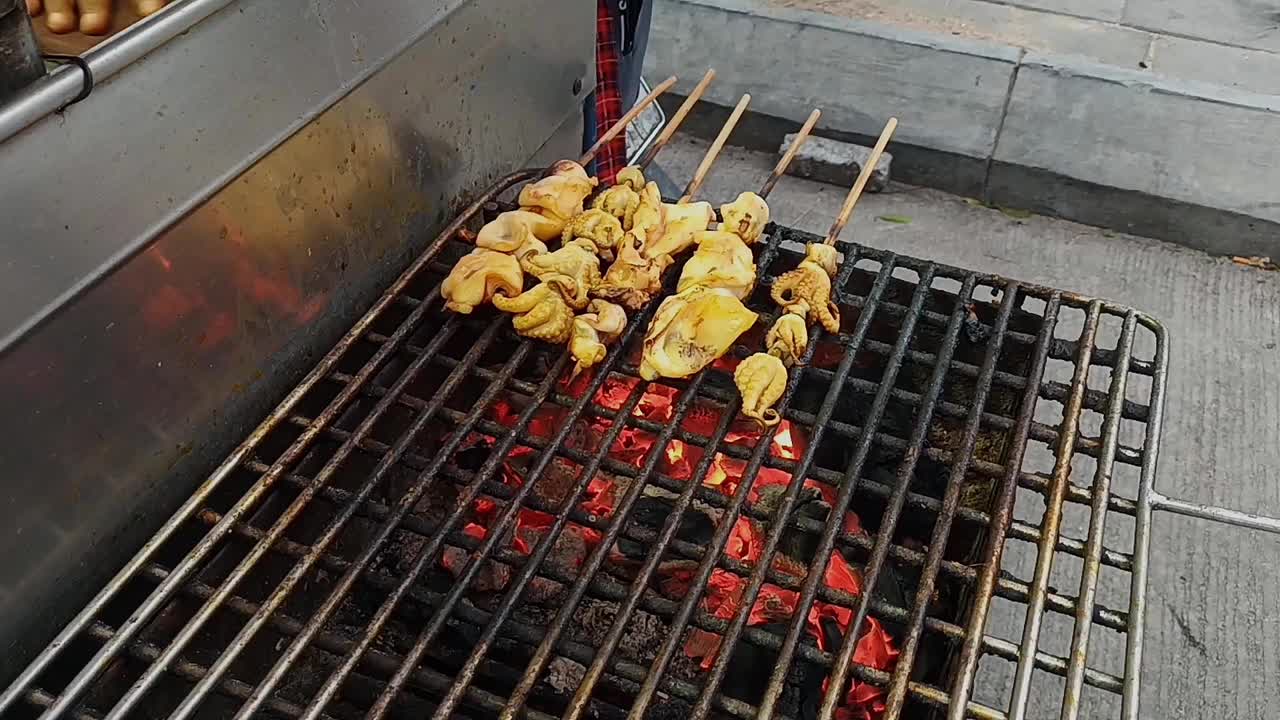 在木炭烤架上烤的新鲜鱿鱼。视频素材