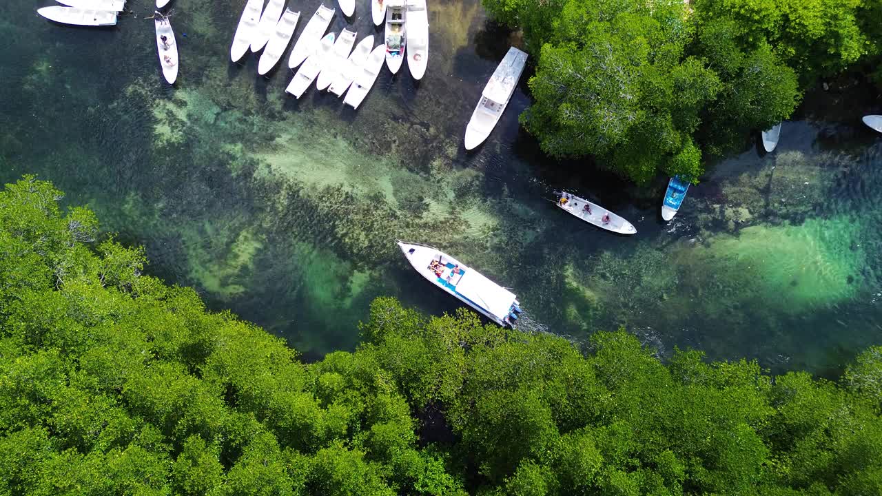 鸟瞰图的红树林在Jungutbatu, Nusa Lembongan，巴厘岛，印度尼西亚视频素材