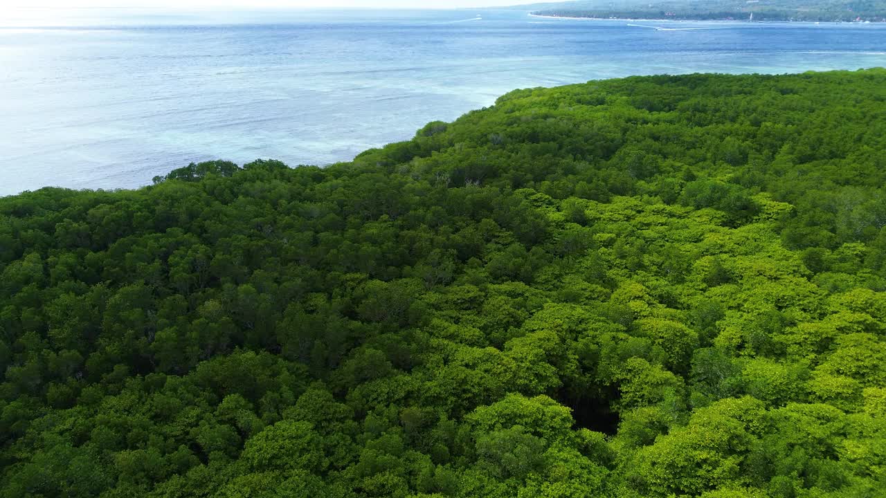 鸟瞰图的红树林在Jungutbatu, Nusa Lembongan，巴厘岛，印度尼西亚视频素材