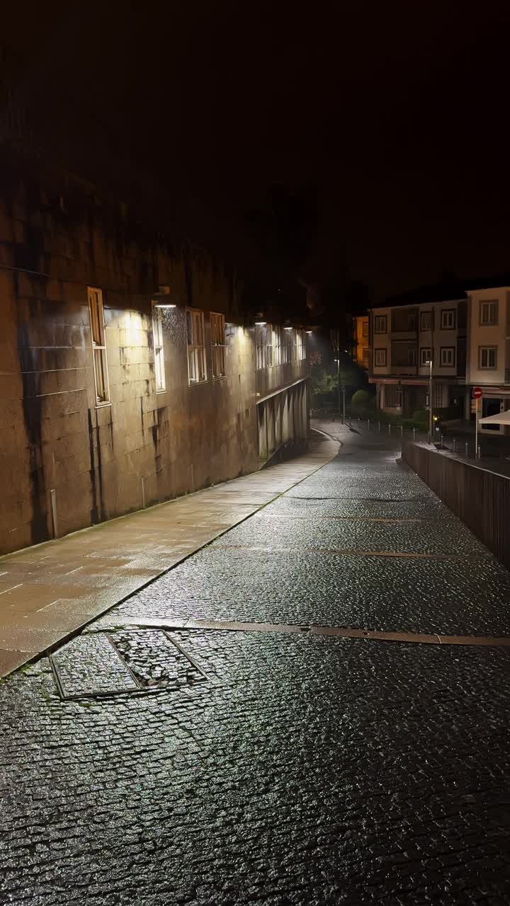 雨夜降临:一座城市的闪光之路视频素材