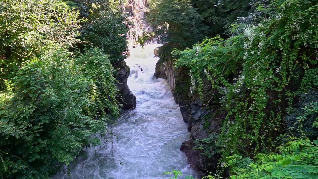 田园风光与峡谷和野生河流命名Passer河在意大利城市梅拉诺。视频下载