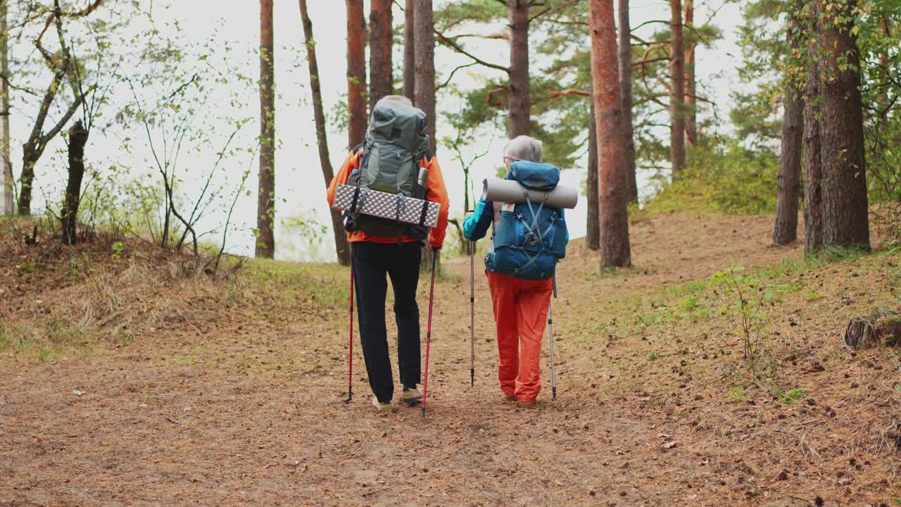 徒步旅游探险。老年夫妇，男人，女人，享受户外娱乐，在森林里徒步旅行，快乐的老人，背包客，徒步旅行者，享受徒步旅行，徒步旅行旅游，积极的假期，大自然的美丽视频素材