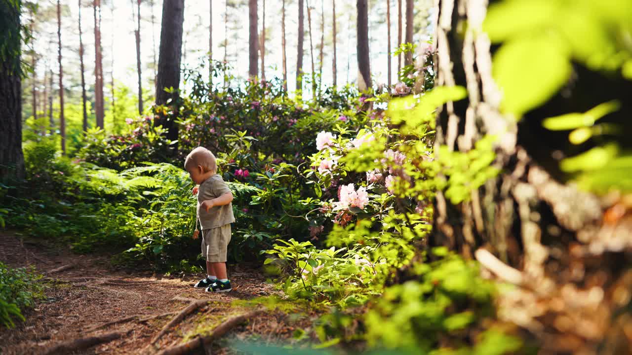 孩子在宁静的森林环境中享受夏日探险，周围是大自然的美景和野生动物视频素材