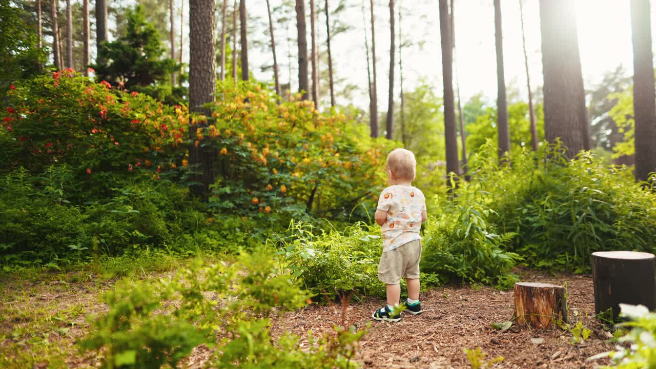 幼童愉快地探索充满活力和和平的森林充满了郁郁葱葱的绿色植物，树木和野生动物视频素材