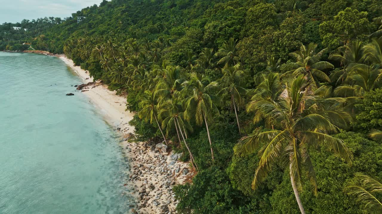 无人驾驶飞机在野生天堂海滩蔚蓝的大海白色的沙滩，棕榈树在绿色的山丘，苏梅岛视频下载