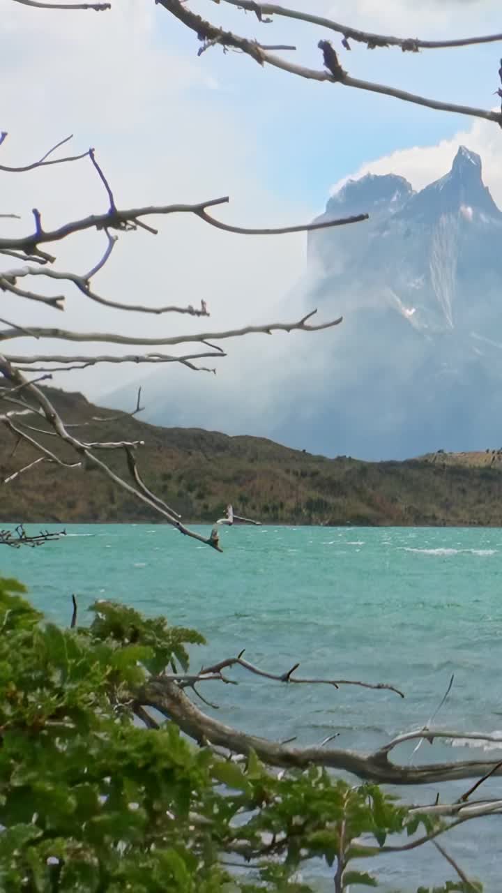 在多云的天空下，透过树枝欣赏山景湖景视频素材