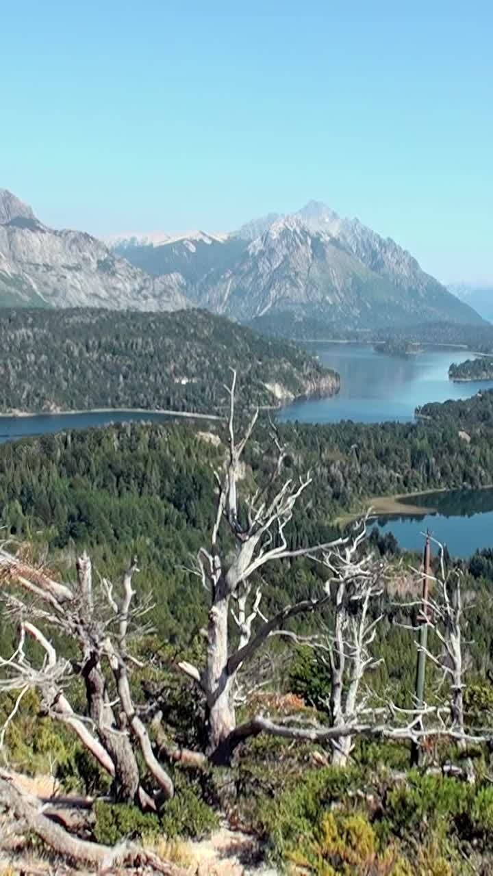 风景秀丽的山湖景观与郁郁葱葱的森林和朽木在前景视频素材