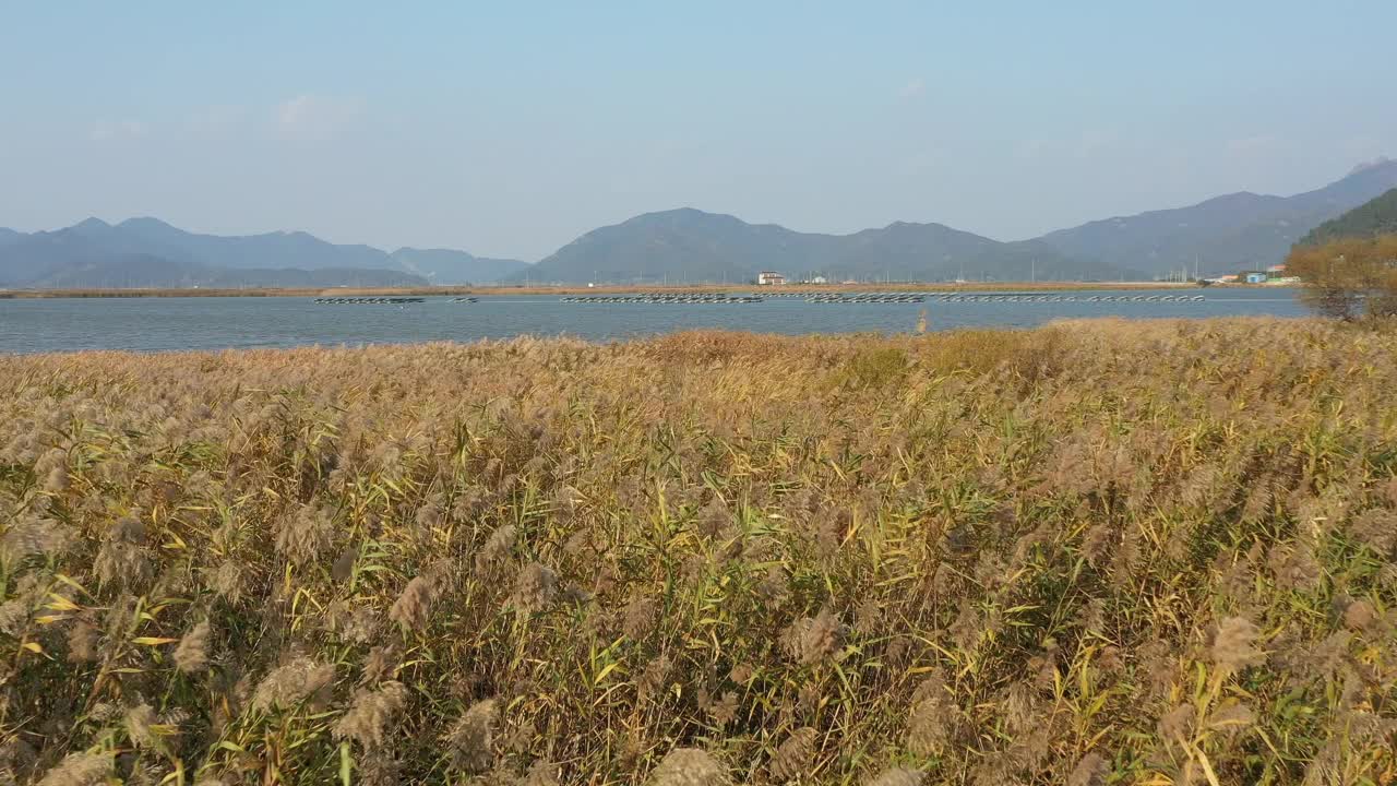 全南道，高兴郡，海昌湾填海造地风景/韩国视频素材