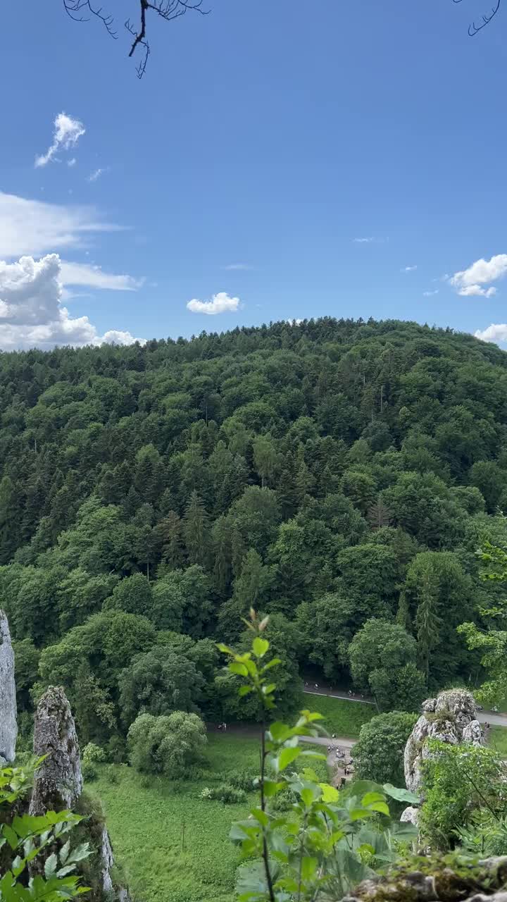 小波兰克拉科夫附近的Ojcowski国家公园(Ojcowski Park Narodowy)的Skala Biala Reka (White Hand rock)全景。Tatra山上。“Rękawica”夏天摇滚，垂直视频。视频下载