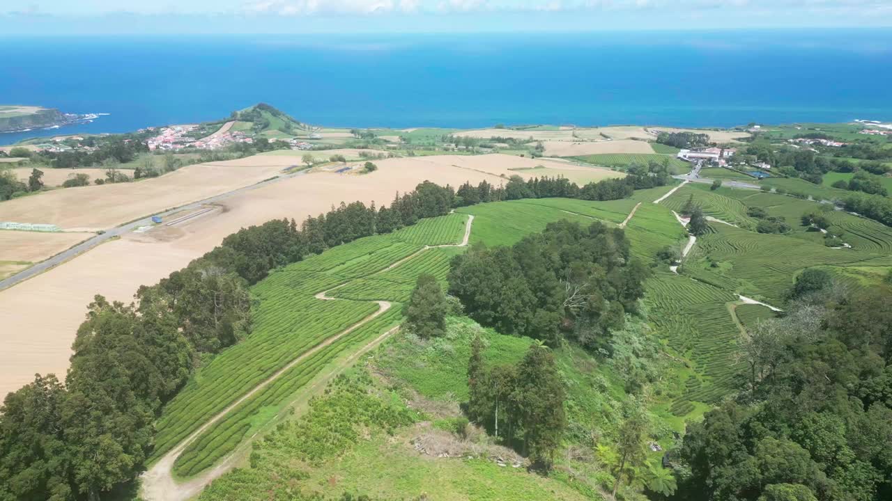 葱郁的绿茶种植园和沿海景观的s<s:1>米格尔岛，鸟瞰图视频素材