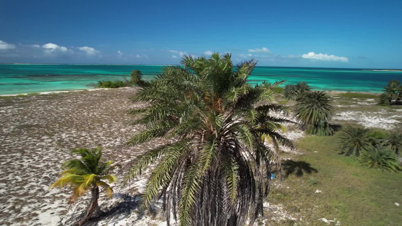 热带海滩，棕榈树和清澈的蓝色海水，鸟瞰图视频素材