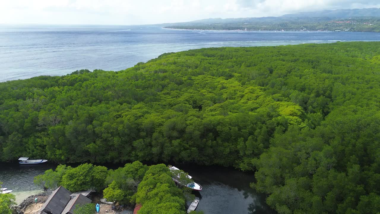 鸟瞰图的红树林在Jungutbatu, Nusa Lembongan，巴厘岛，印度尼西亚视频素材