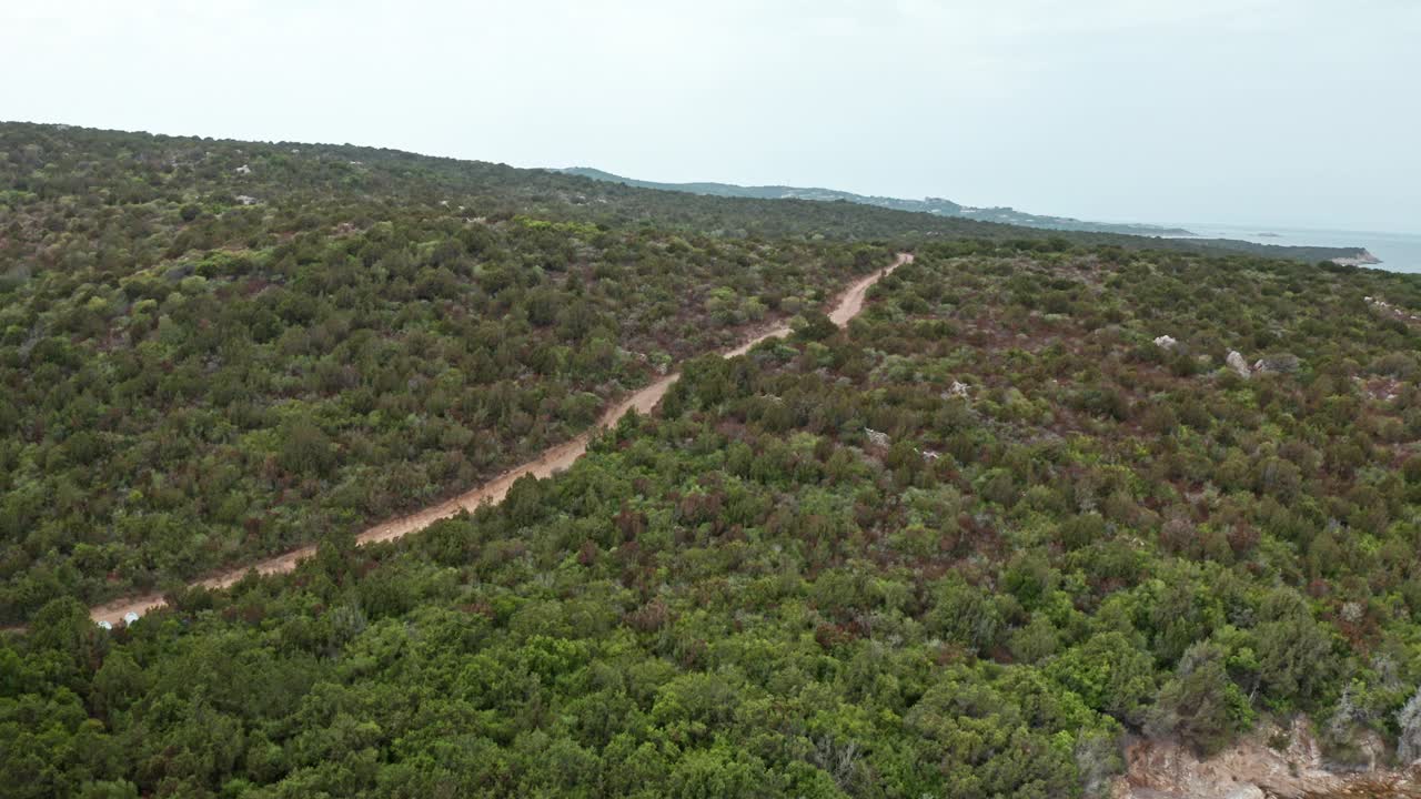 从空中拍摄的撒丁岛，一条土路蜿蜒穿过郁郁葱葱的绿色植物视频素材