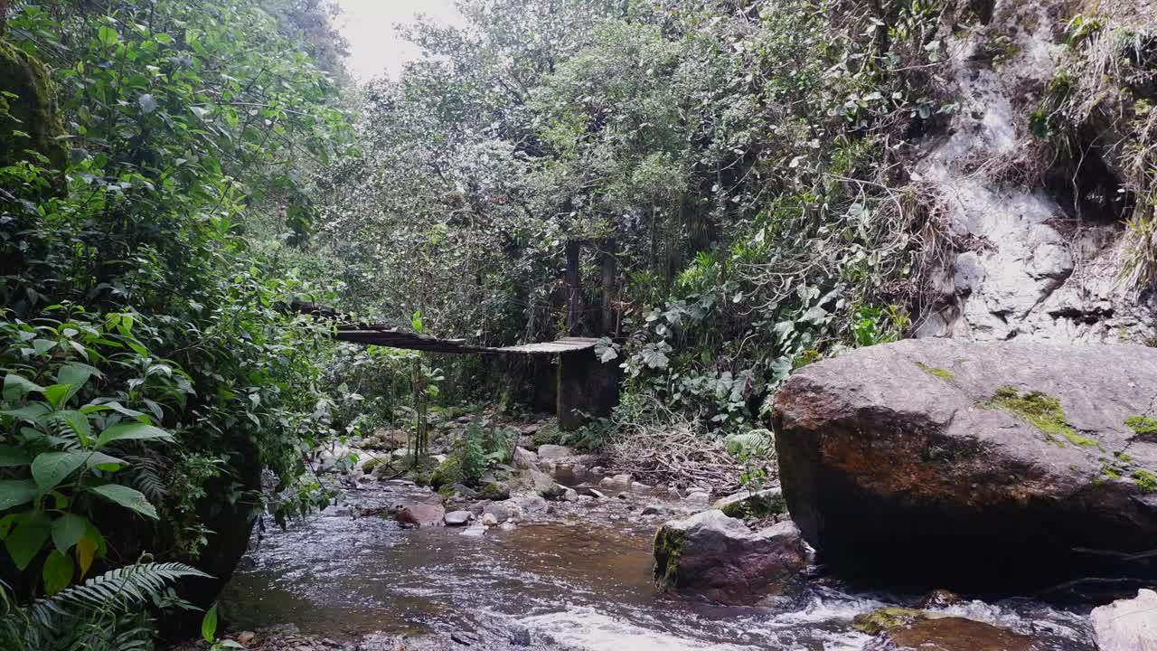 高加索男性徒步旅行者穿过丛林小河流上的吊桥视频素材