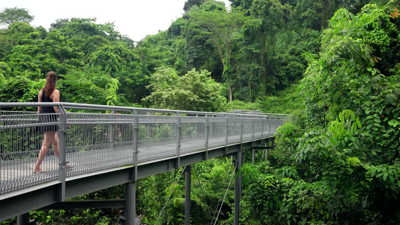 新加坡树顶步道，每一步都与荒野的交响乐共鸣视频素材