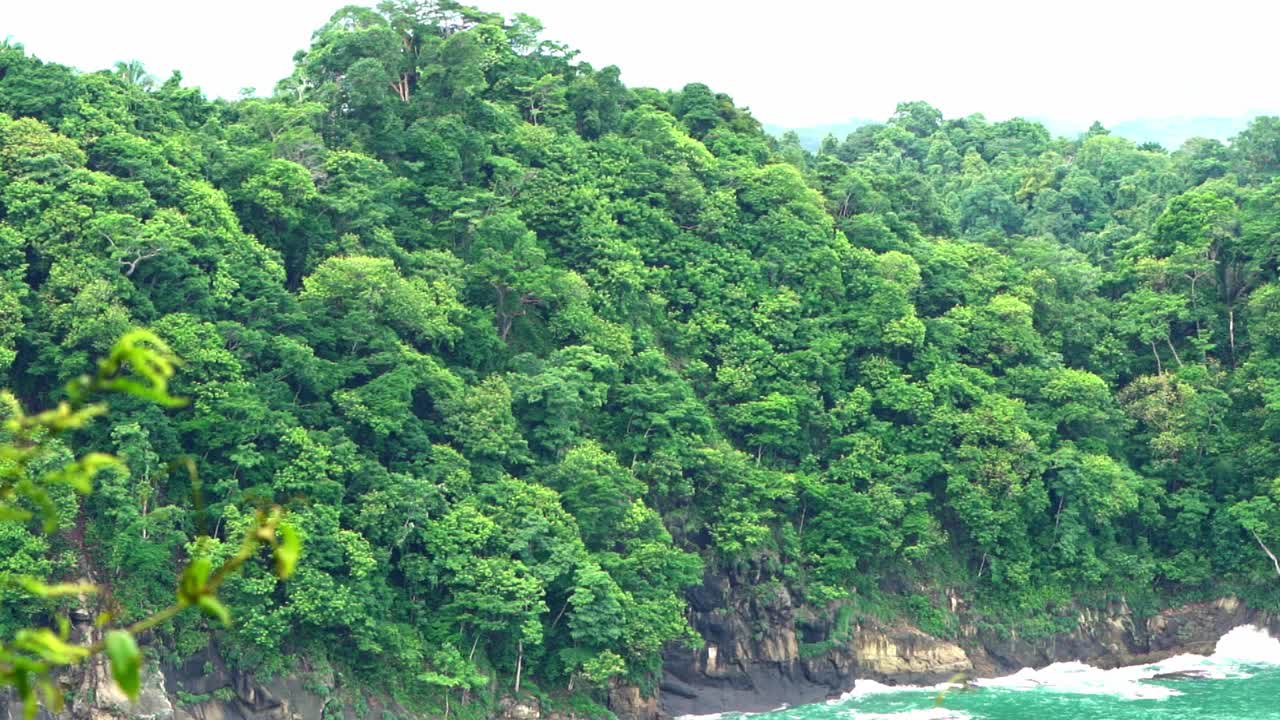 哥斯达黎加海岸上方的雨林视频素材