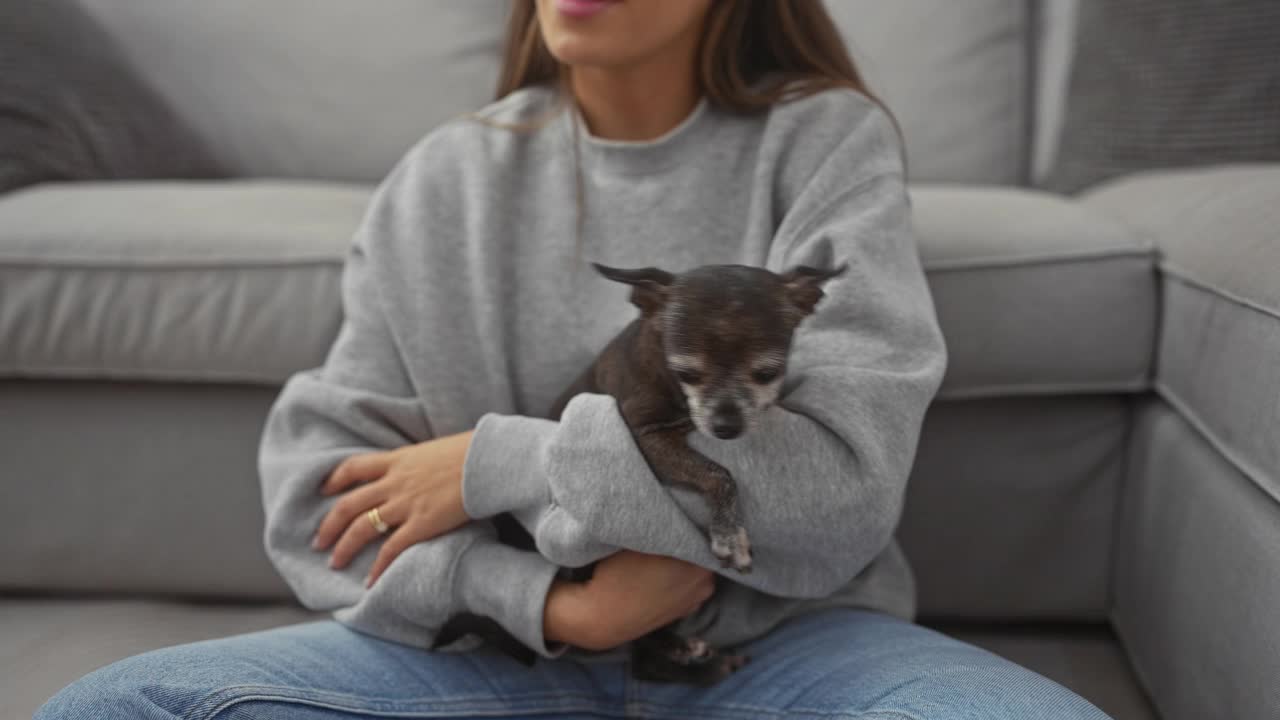 一位穿着休闲装的年轻女子在室内舒适的沙发上抱着她昏昏欲睡的吉娃娃。视频素材