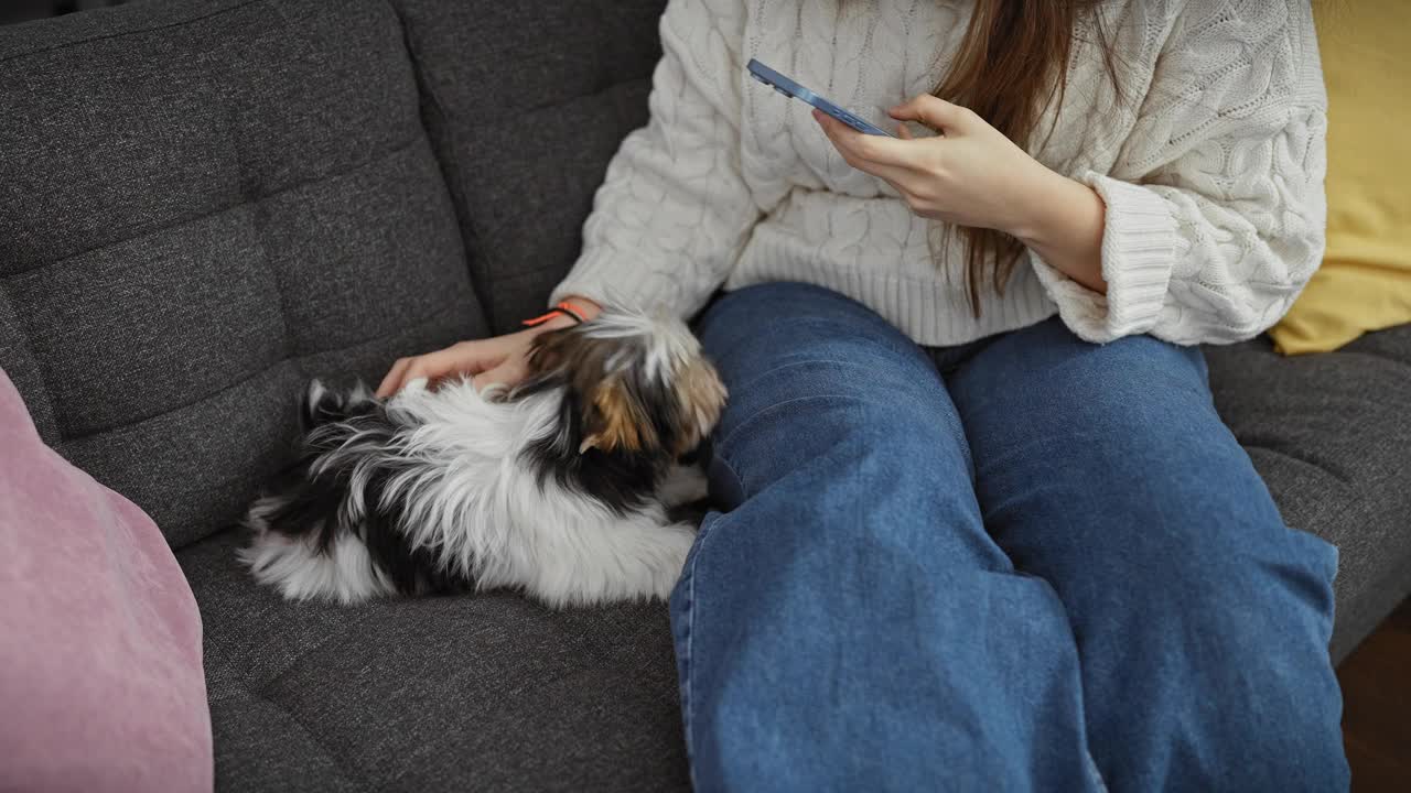 在一个舒适的客厅里，一位穿着白色毛衣和牛仔裤的年轻女子拿着智能手机，抚摸着她毛茸茸的比维尔梗。视频素材