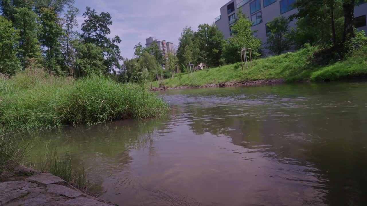 阳光明媚的日子里，瑞士苏黎世市的乡村景观，有河流、植物和堤岸。视频下载