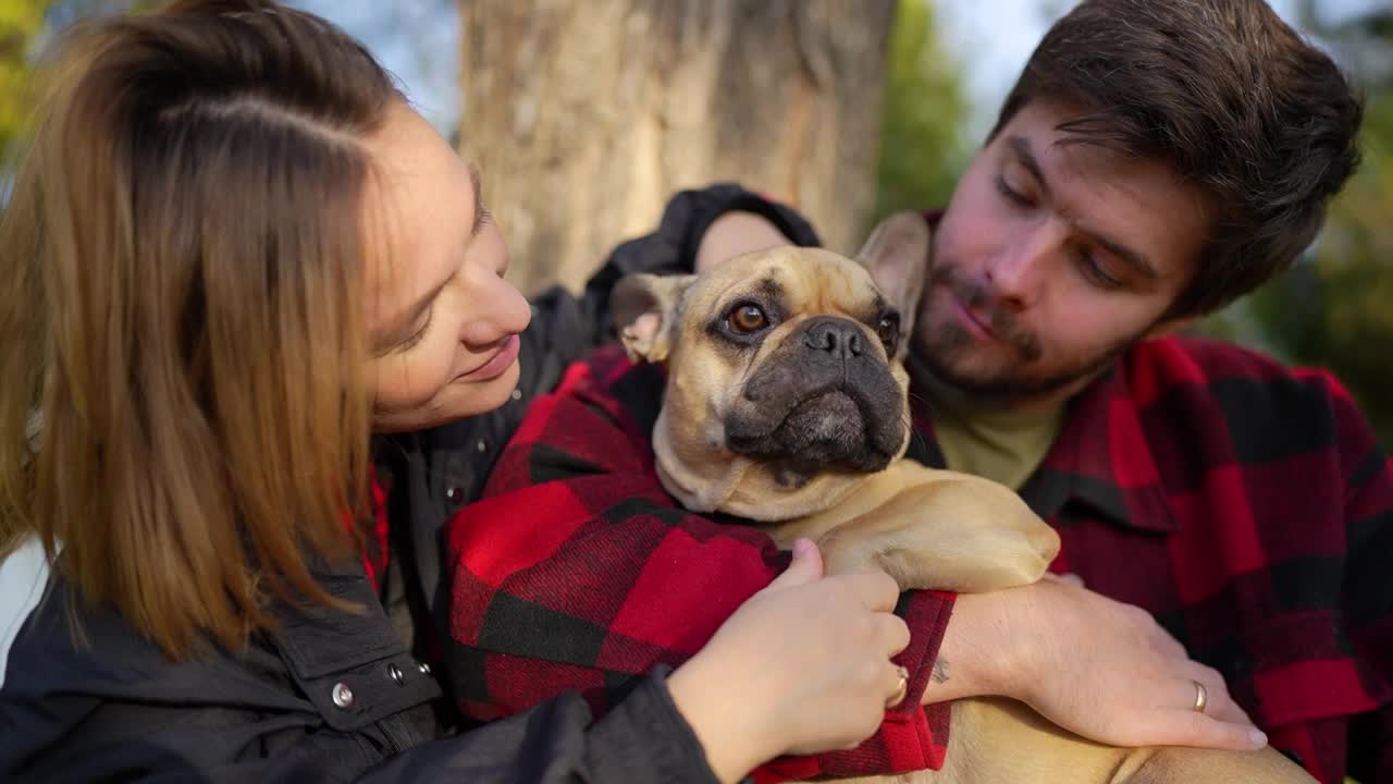 在一个阳光明媚的秋日，一对夫妇和他们的斗牛犬在公园里，被大自然包围视频素材