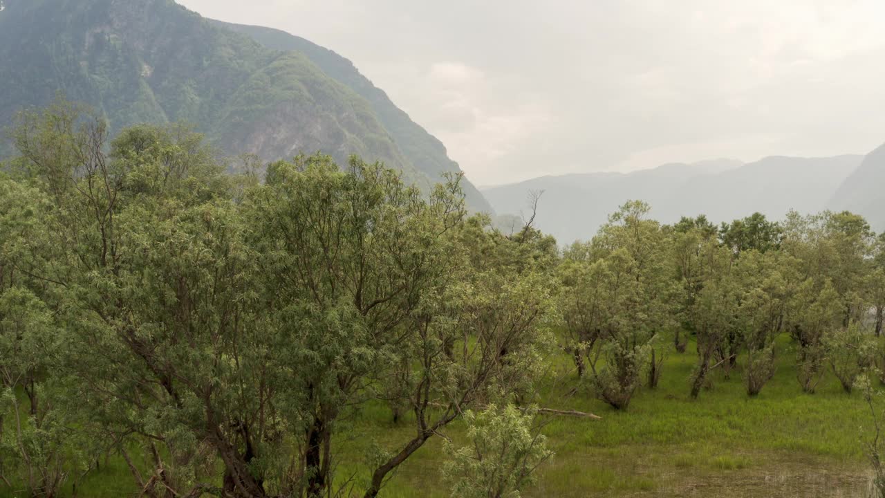 航拍无人机拍摄的美丽风景。森林和宁静安详的山河。峡谷自然风光优美，江河纵横于山间。视频素材