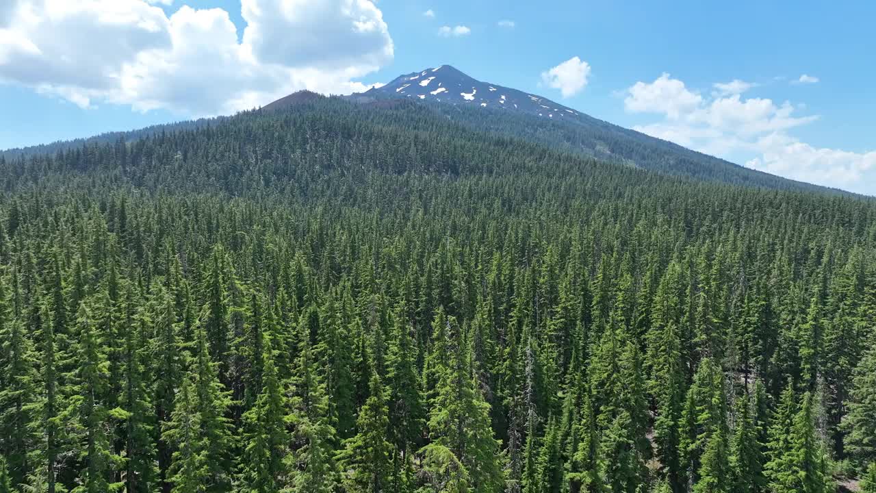 俄勒冈州夏季的森林和巴彻山鸟瞰图视频下载