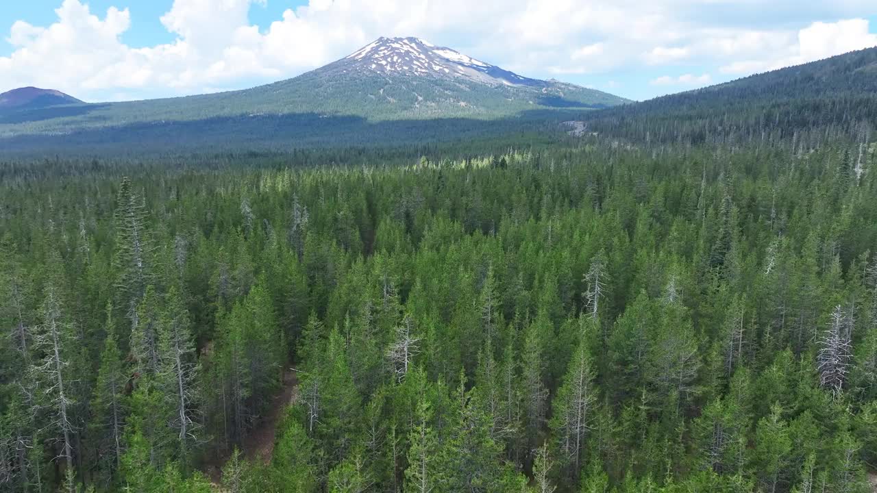 俄勒冈州夏季的森林和巴彻山鸟瞰图视频素材