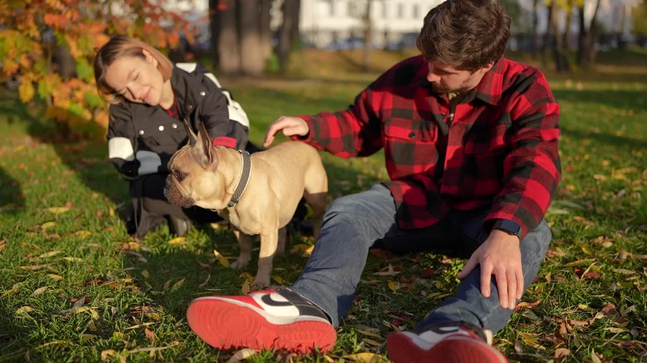 一对年轻夫妇和一只法国斗牛犬在秋天的公园里，周围是五颜六色的树叶和阳光视频素材