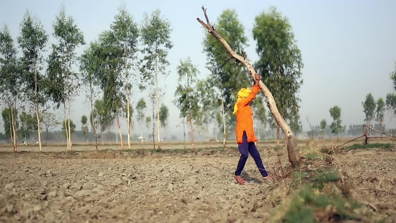 伐木工人推倒光秃秃的树视频素材