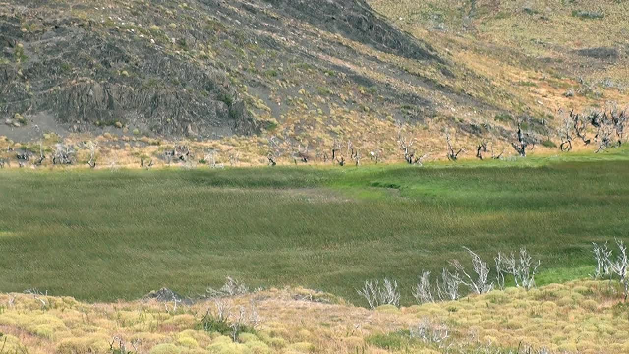 巴塔哥尼亚风景秀丽的山湖视频素材