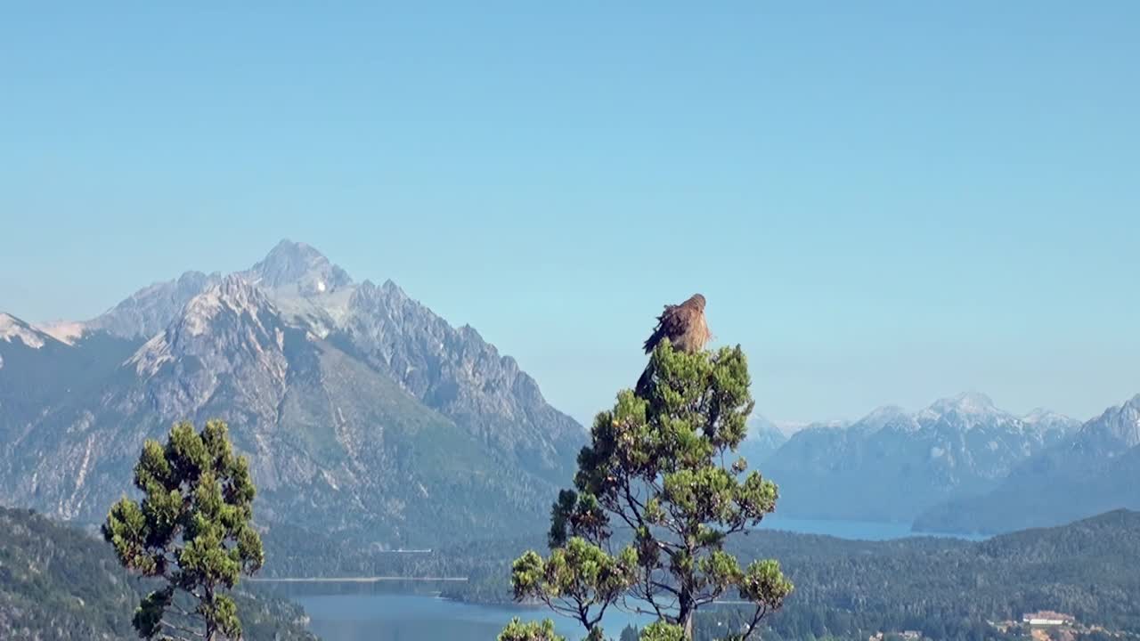 巴塔哥尼亚山湖的自然奇观视频素材