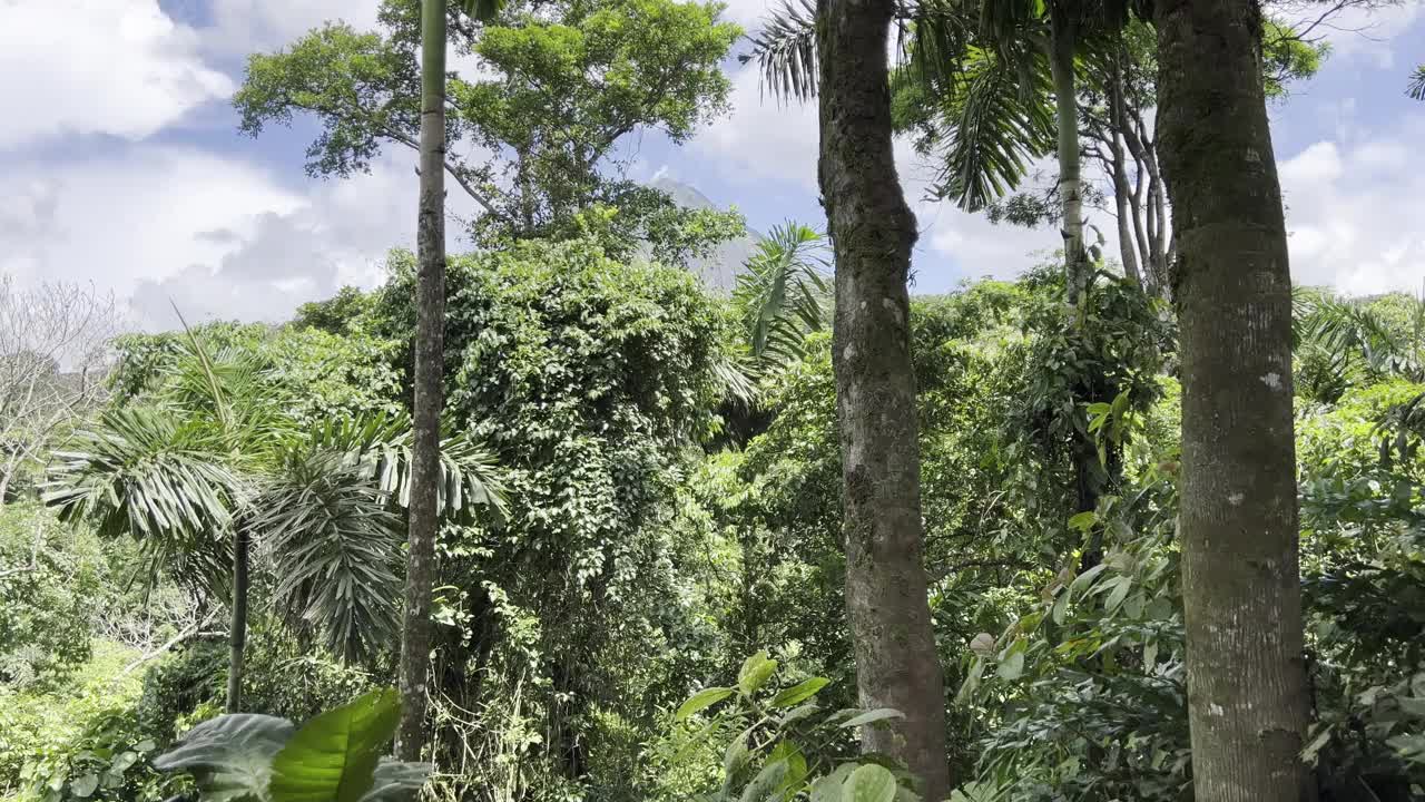 阿雷纳尔火山的高峰在白天视频素材