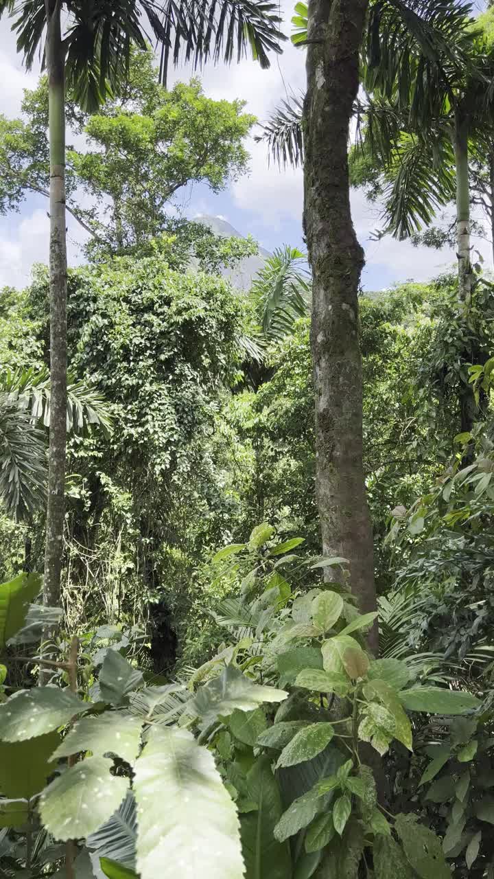 阿雷纳尔火山的高峰在白天视频素材