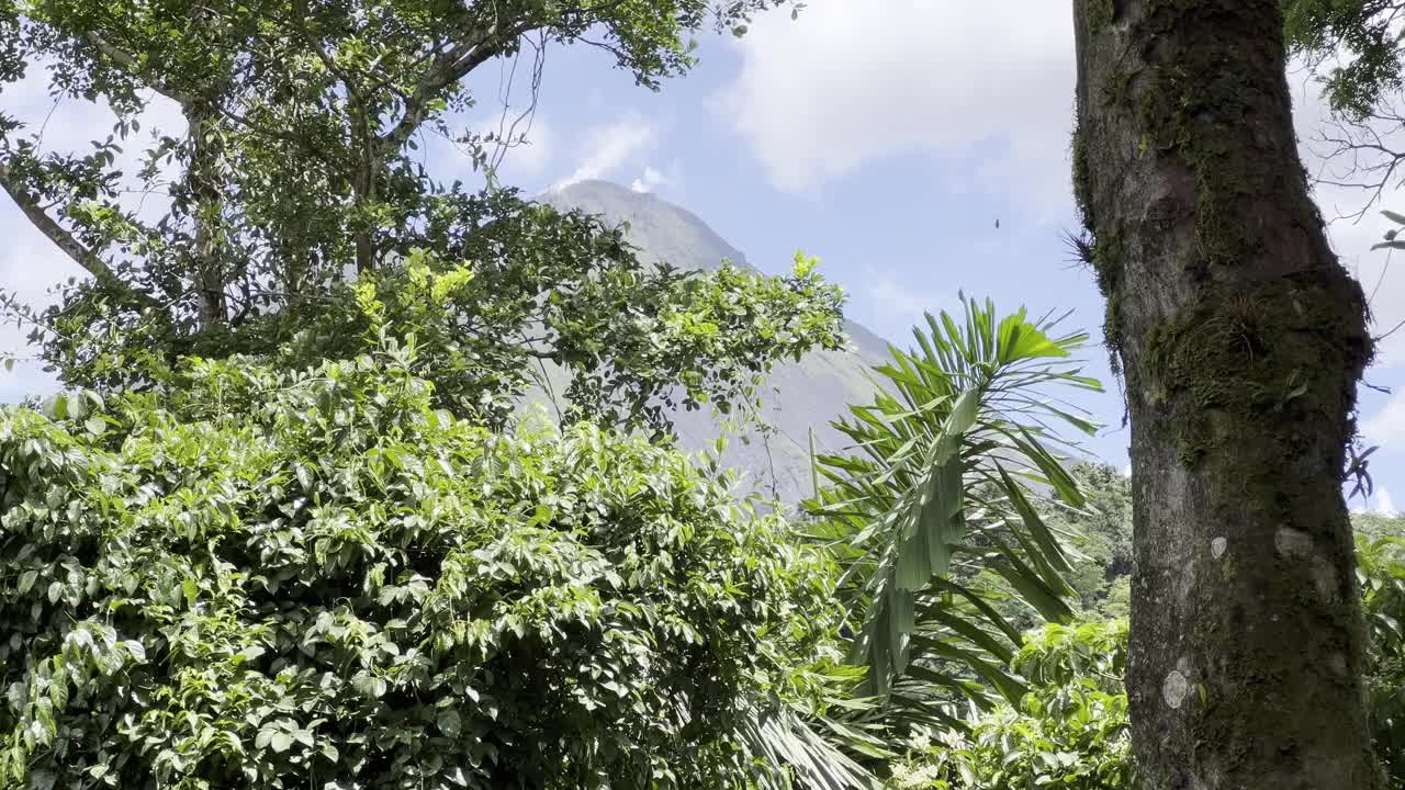 阿雷纳尔火山的高峰在白天视频下载