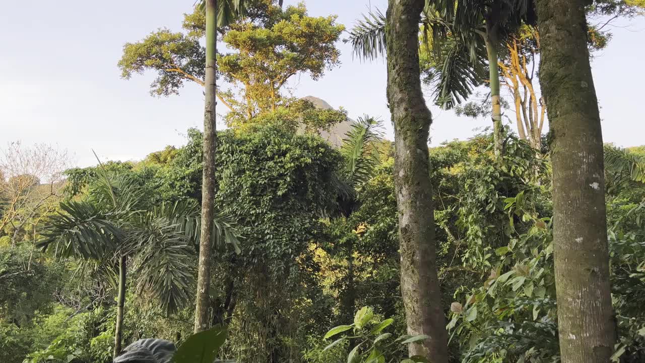 阿雷纳尔火山的顶峰视频素材