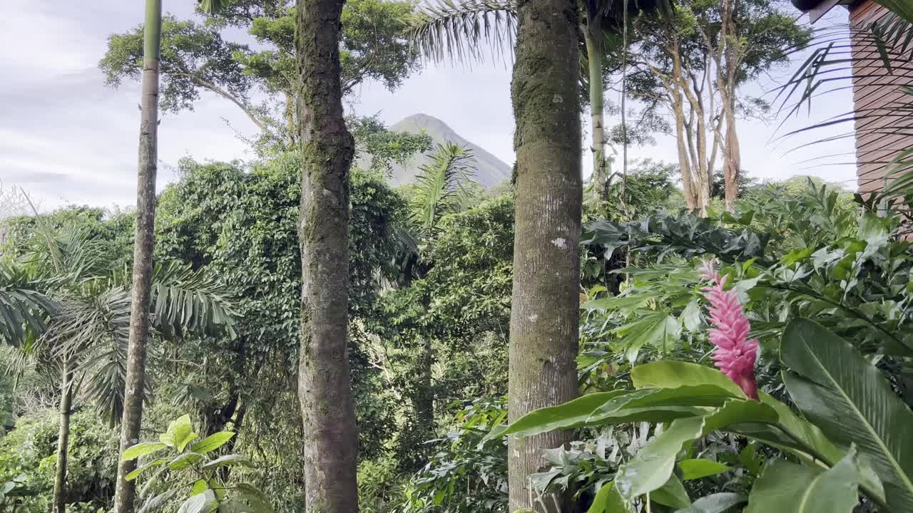 阿雷纳尔火山的顶峰视频下载