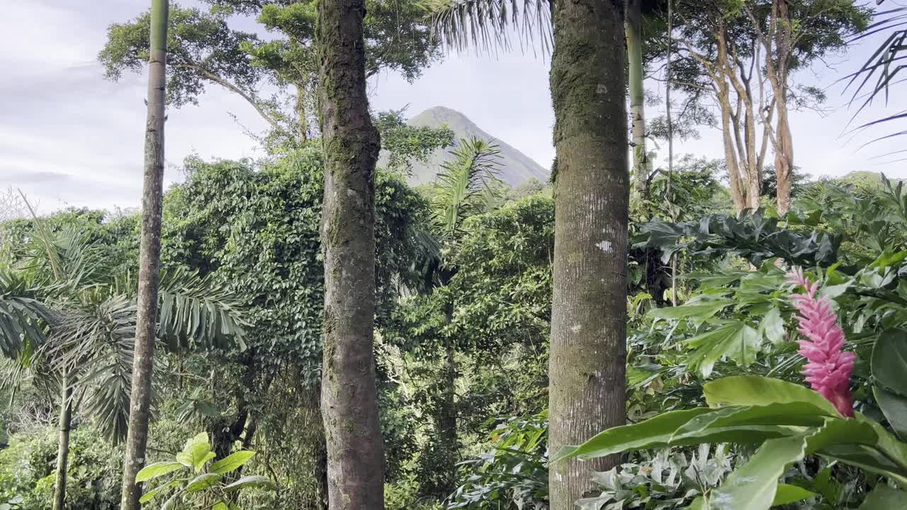 阿雷纳尔火山的顶峰视频素材