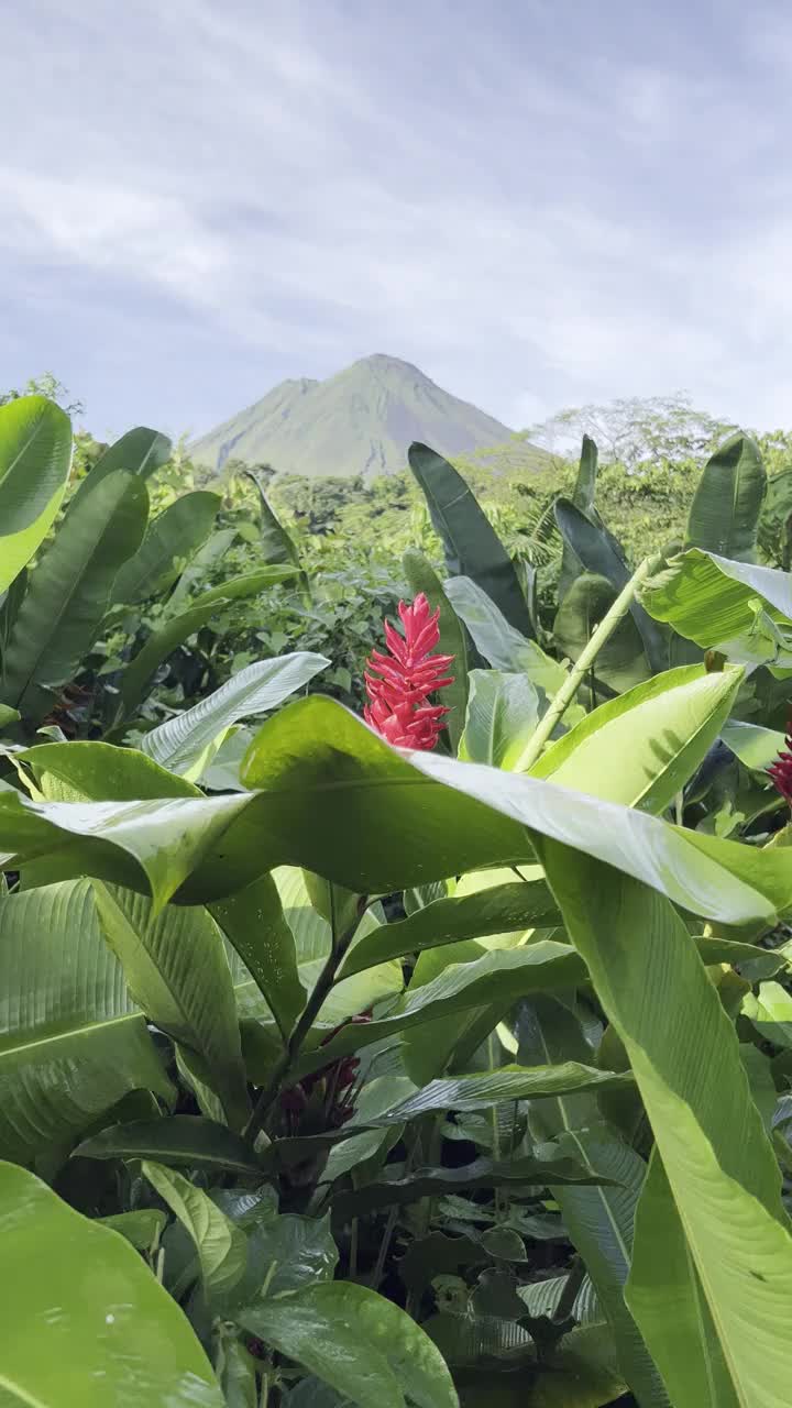 阿雷纳尔火山的顶峰视频下载