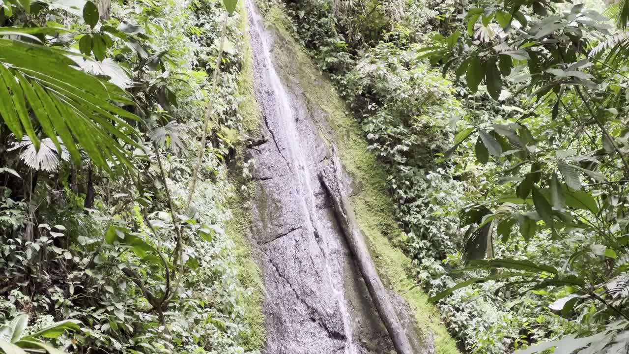 哥斯达黎加雨林中的瀑布视频下载