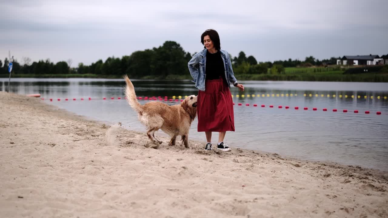 小女孩在河边玩耍和训练她那湿漉漉的金毛猎犬视频素材