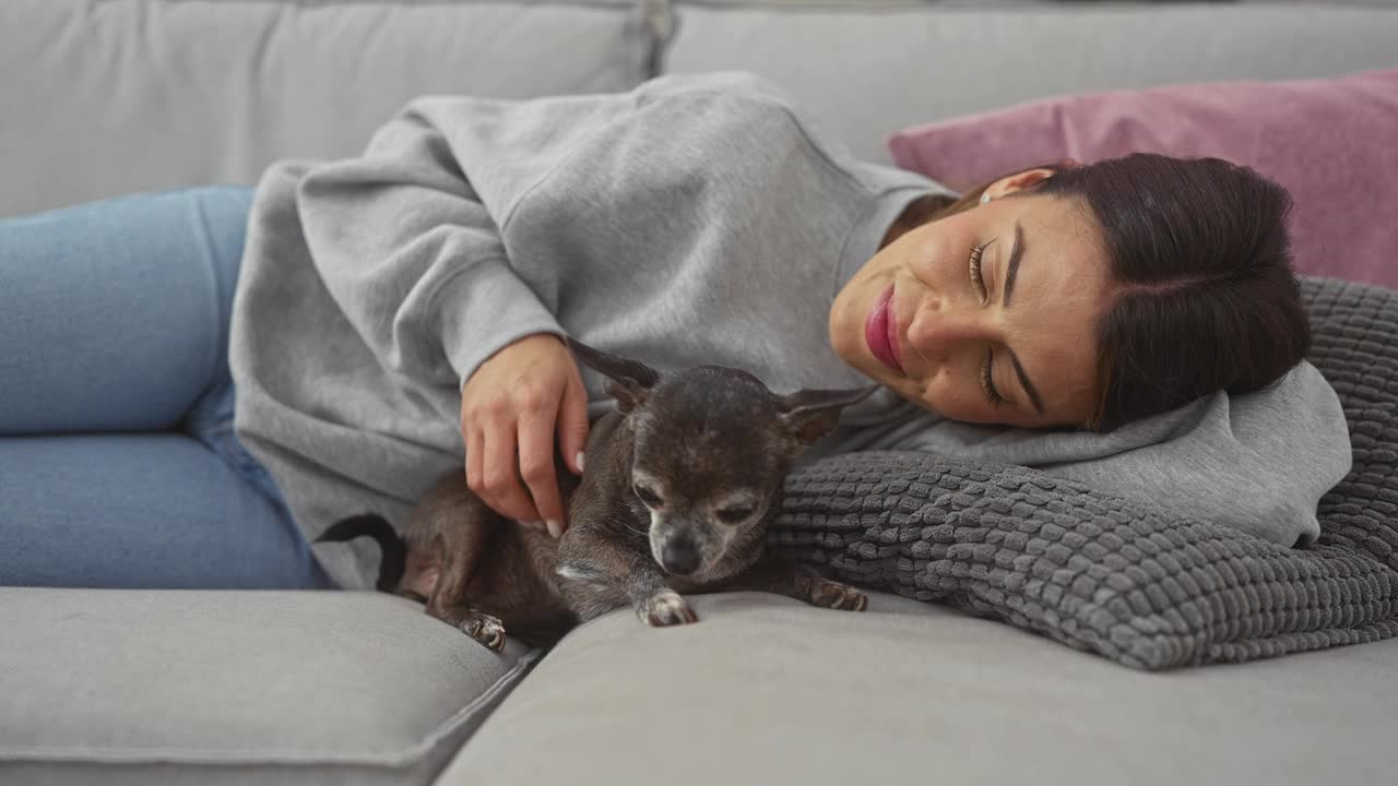 在舒适的沙发上，一个心满意足的女人抱着她的老吉娃娃，反映出一个宁静的家庭环境。视频素材