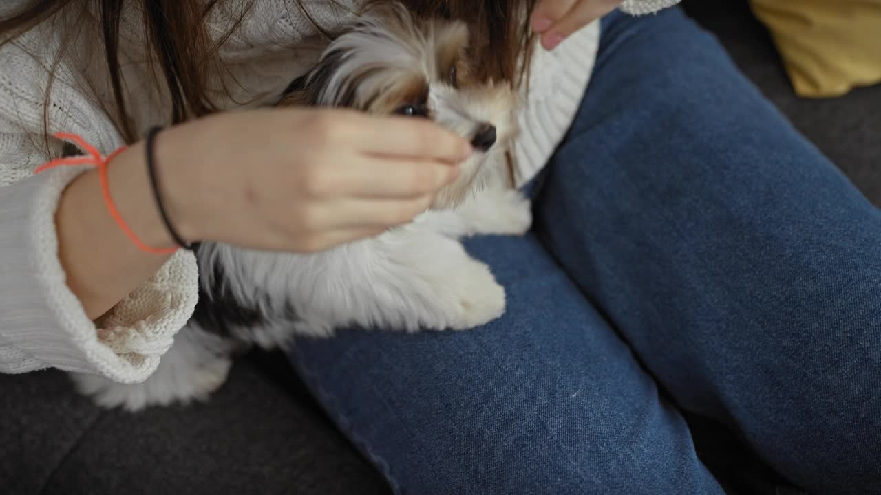 一位年轻女子在舒适的客厅里抱着她的小猎犬，客厅里有五颜六色的靠垫。视频素材